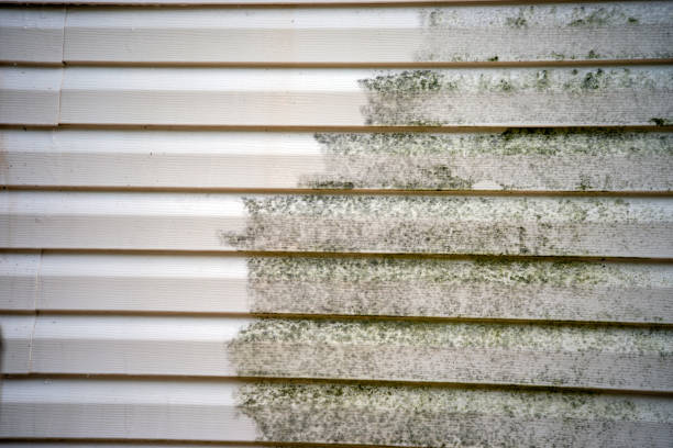Moving and Downsizing Cleanouts in Perryopolis, PA